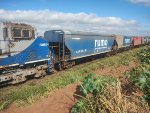 RUMO HTT-845222-9